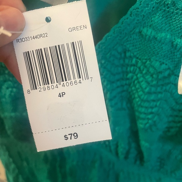 Rabbit Rabbit Rabbit Design Short Sleeve Lace Fit + Flare Dress 4 petite Green - Picture 8 of 10